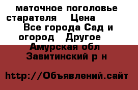 маточное поголовье старателя  › Цена ­ 3 700 - Все города Сад и огород » Другое   . Амурская обл.,Завитинский р-н